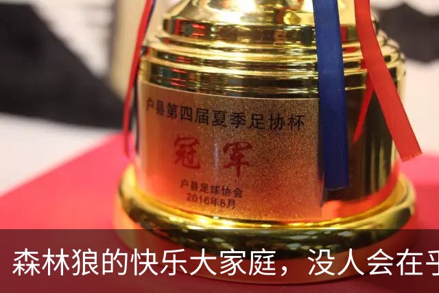 森林狼的快乐大家庭，没人会在乎出手次数！